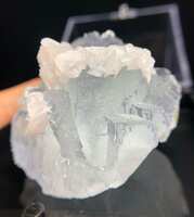 https://images.plurk.com/5dSV1cVKgYRSVcnZ8kZuTx.jpg