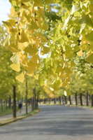 https://images.plurk.com/5dY8DjFSbqo0nrMqpqJlUw.jpg