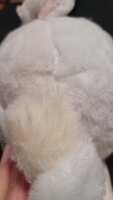 https://images.plurk.com/5dljBqK2M5URgahbObu765.jpg
