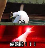 https://images.plurk.com/5doMkOZcvbkuQHIs7msrN5.jpg