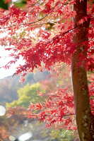 https://images.plurk.com/5dww6YTnMDbG92CfmX2b3K.jpg
