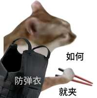 https://images.plurk.com/5dxlCRJLmsI7vMM7paIBWP.jpg