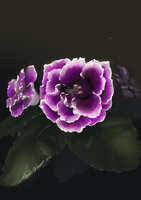 https://images.plurk.com/5e4O1bItu5q0JQEt2rZ837.jpg