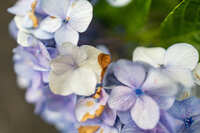 https://images.plurk.com/5e6mHn0Gu4EQ1WwD3t3Jkv.jpg