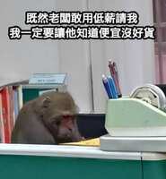 https://images.plurk.com/5eCyqi2j1BeQ00XDAFCFxo.jpg