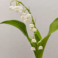 https://images.plurk.com/5eF9Oo7Cuo0zHdKmsmzNit.jpg