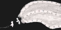 https://images.plurk.com/5eGAxliNNALeAc2lZhwwcQ.jpg