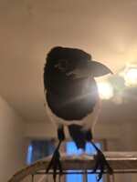 https://images.plurk.com/5eGPqr8mD16OIqs0tlGDMe.jpg