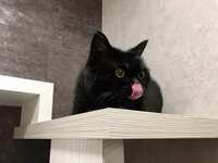 https://images.plurk.com/5eGis2wxgwIJrfIApqGQ5V.jpg