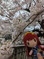 https://images.plurk.com/5eJCaG0rMyXM36TM5n9OfL.jpg