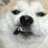https://images.plurk.com/5eLTxl6UBm54bkbA20liXw.png
