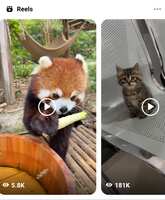 https://images.plurk.com/5eN041P7LTjXizwRVw8ydA.jpg