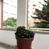https://images.plurk.com/5eQQPcbYg5fC4F0T9fbMEK.jpg