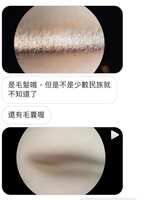 https://images.plurk.com/5eRgZ3BTqQxAvRSS8XUqXu.jpg