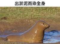https://images.plurk.com/5eVucwGpGkmb8biA9l7Kf.jpg