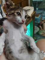 https://images.plurk.com/5eYoQqRZwst08cpWVVDebC.jpg