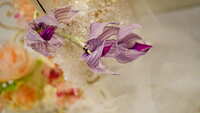 https://images.plurk.com/5ehpy3kMW839QQlWGh6oz2.jpg
