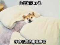 https://images.plurk.com/5ejKgpckGZJ8sP5rgwqpkQ.png