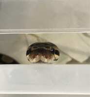 https://images.plurk.com/5enqvw9FBfc8FdVe3aaMRj.jpg