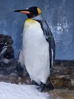 https://images.plurk.com/5ep2m1jnwxMqB0Oim6rn2i.jpg