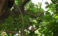 https://images.plurk.com/5f43HgyjdpwCaoHjsvEezg.jpg