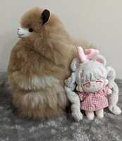 https://images.plurk.com/5fAqcsJTIyp8ej2RWFSoBa.jpg