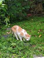 https://images.plurk.com/5fD0WlitSw2acw2320raEV.jpg