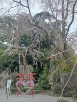 https://images.plurk.com/5fDWDlg3yOOusvHDBPkkcw.jpg