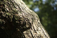 https://images.plurk.com/5fISpj2aS4ZqnswVQJoLBA.jpg