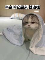 https://images.plurk.com/5fIeR9lq6BlCvDadSBAPs9.jpg