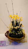https://images.plurk.com/5fipb6vCsY30vK3lW282gv.jpg