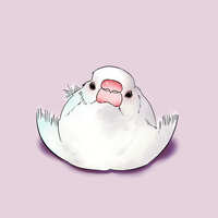https://images.plurk.com/5fj1AgQ6orQW8cl7wrjHnH.jpg