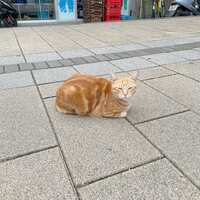 https://images.plurk.com/5ftAOXJsXjGUtyAPS9JX2I.jpg