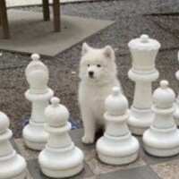 https://images.plurk.com/5ftP6te6mnR3lnLALYdlkr.jpg