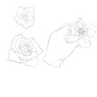 https://images.plurk.com/5fxNDZQnLG9Yg0yoVdqUcB.jpg