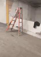 https://images.plurk.com/5fxs24dRnvHDW3JZvsBuME.gif