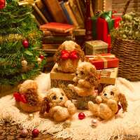 https://images.plurk.com/5fzw6ZbEccrIwdS1ju1Mby.png