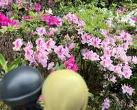 https://images.plurk.com/5g65FwCrkcdLIDRo2SBT0U.jpg
