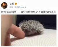 https://images.plurk.com/5g8GWlavWvFUoF4ZKImtss.png