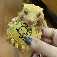 https://images.plurk.com/5gEBAPB5KnVbY8WG4R1BXC.jpg