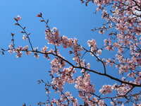 https://images.plurk.com/5gGWP3ZjdJHXN8zO0lytle.jpg