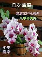 https://images.plurk.com/5gXTNlTVchIQq2MHvWqPaL.jpg