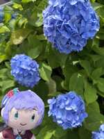 https://images.plurk.com/5gbNRSytWKkPWrTh8NvvXv.png