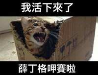 https://images.plurk.com/5gioRJLtLb6Yh5FqBMCyBn.png