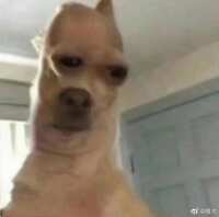 https://images.plurk.com/5grxGYqT6dmdAKr29494NG.jpg