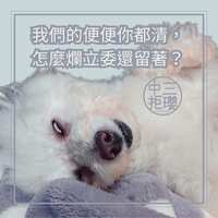 https://images.plurk.com/5h5CqyhzdHh9ATL85j9SQc.jpg