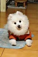 https://images.plurk.com/5h6Bo9P8k2Xn6OMQ26U8dX.jpg