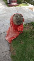https://images.plurk.com/5hCjI1vscMhLrx4Lje0zMJ.jpg