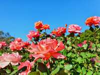 https://images.plurk.com/5hGJR9TvQyPhVrbwcaYWLI.jpg