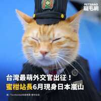 https://images.plurk.com/5hH5SyHXKzDrywa13tU7Sq.jpg